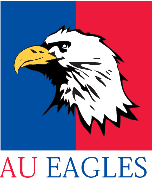 American Eagles 1985-2005 Alternate Logo vinyl decal